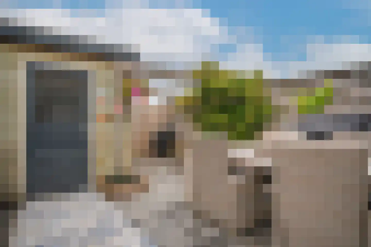 Josinahof 11 Meteren thumbnail 32