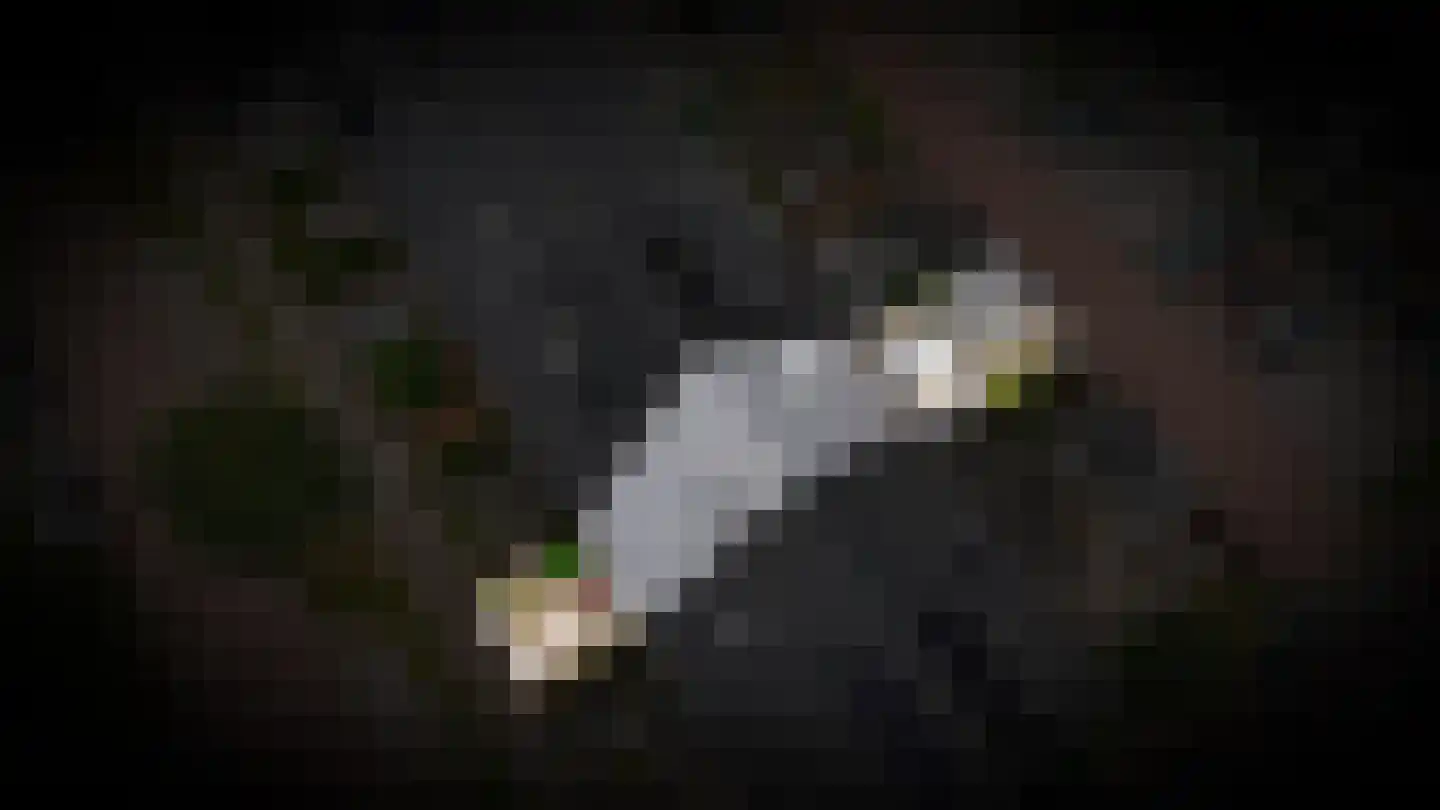 Josinahof 11 Meteren thumbnail 37