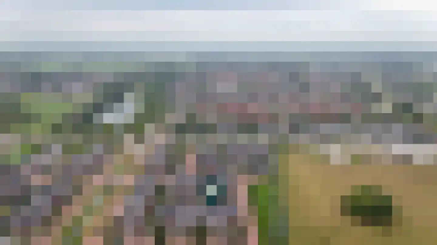 Josinahof 11 Meteren thumbnail 38
