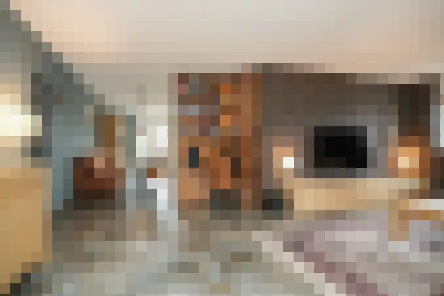 Josinahof 2 a Meteren thumbnail 10