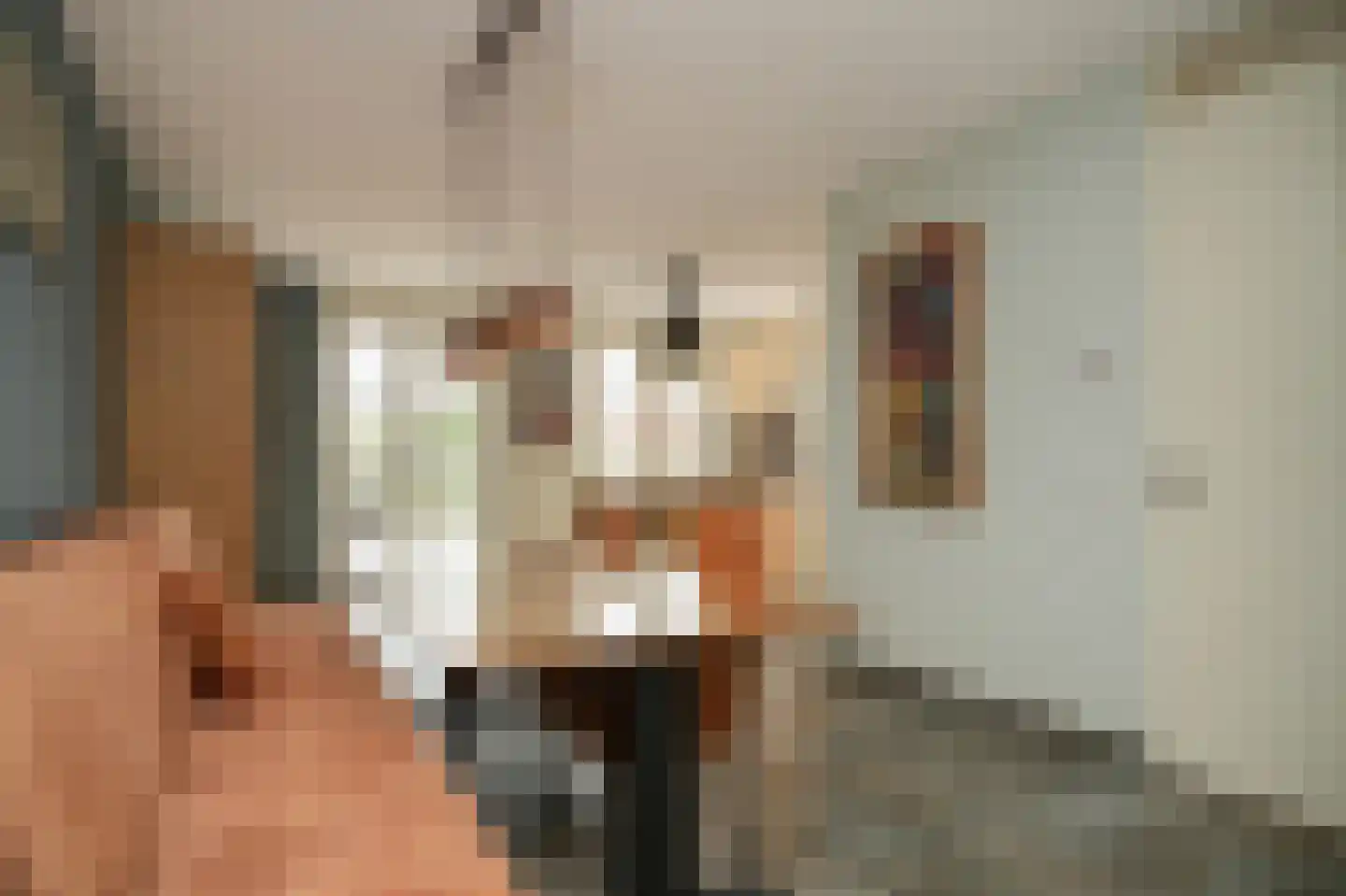 Josinahof 2 a Meteren thumbnail 12