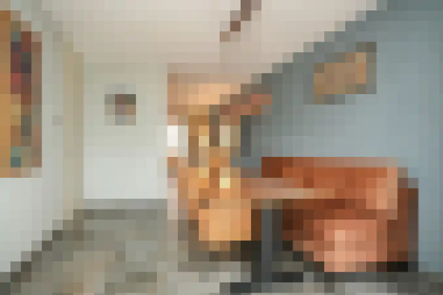 Josinahof 2 a Meteren thumbnail 13