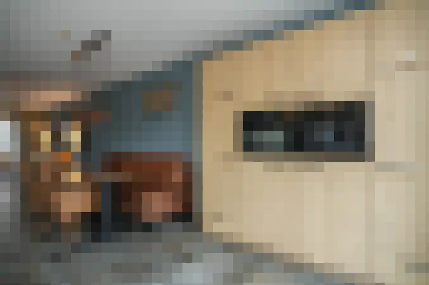 Josinahof 2 a Meteren thumbnail 16