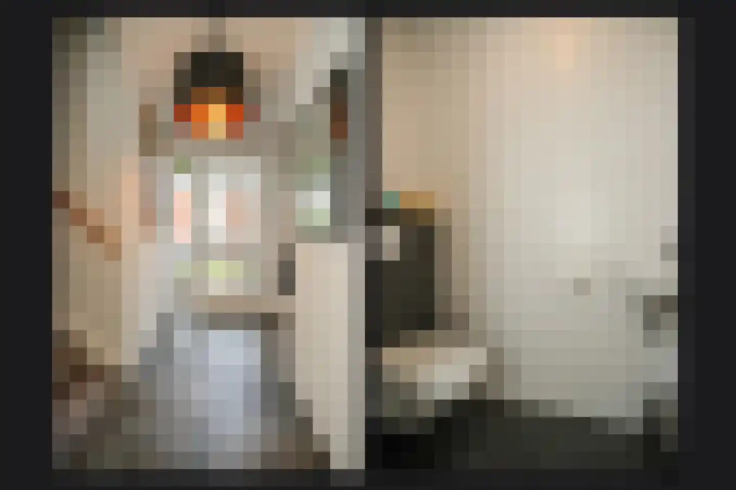 Josinahof 2 a Meteren thumbnail 20