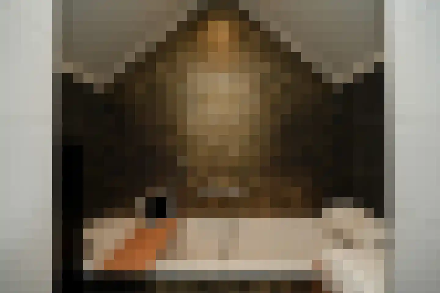 Josinahof 2 a Meteren thumbnail 26