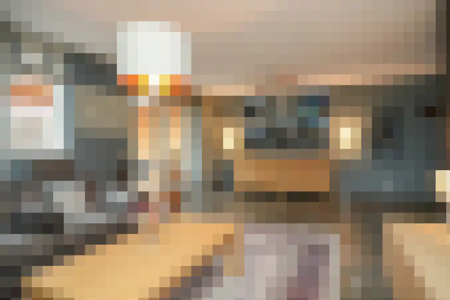 Josinahof 2 a Meteren thumbnail 6