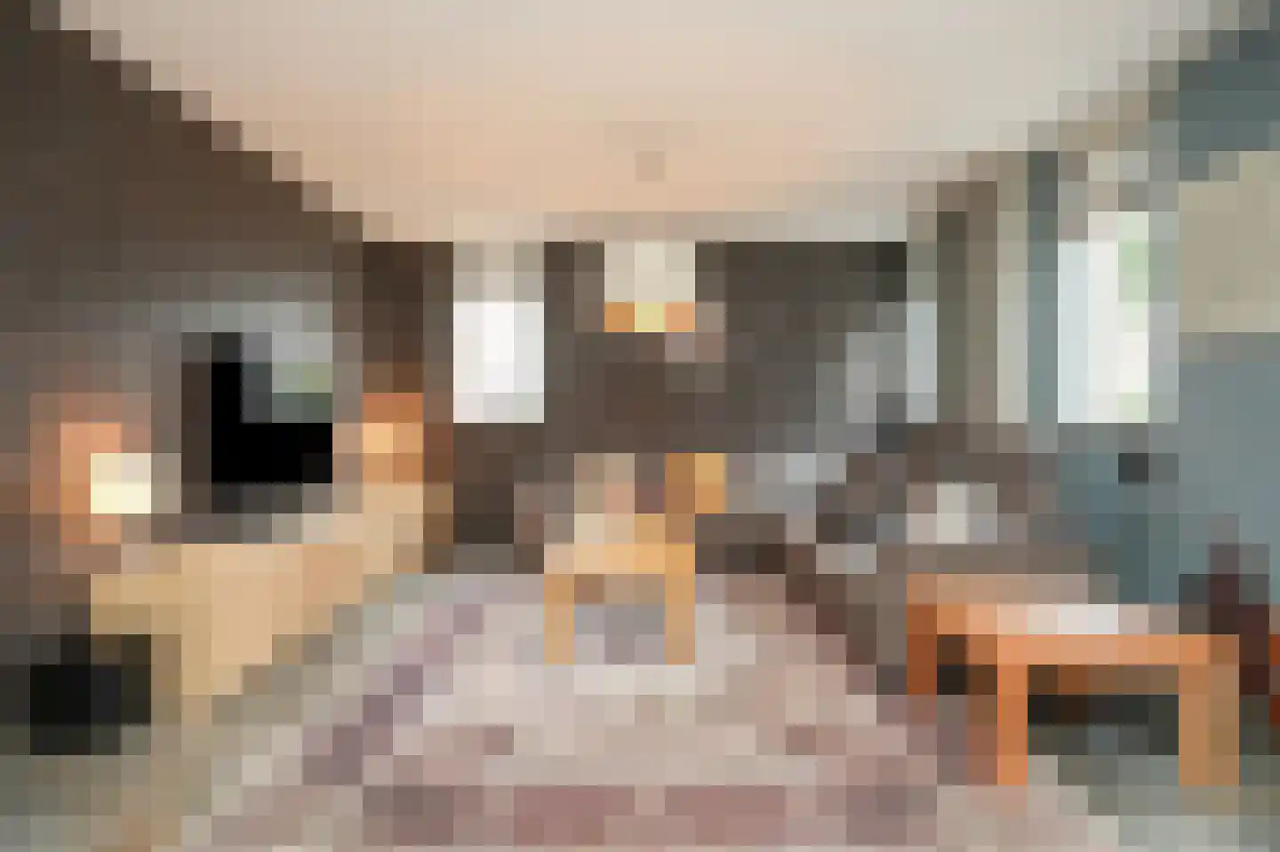 Josinahof 2 a Meteren thumbnail 8