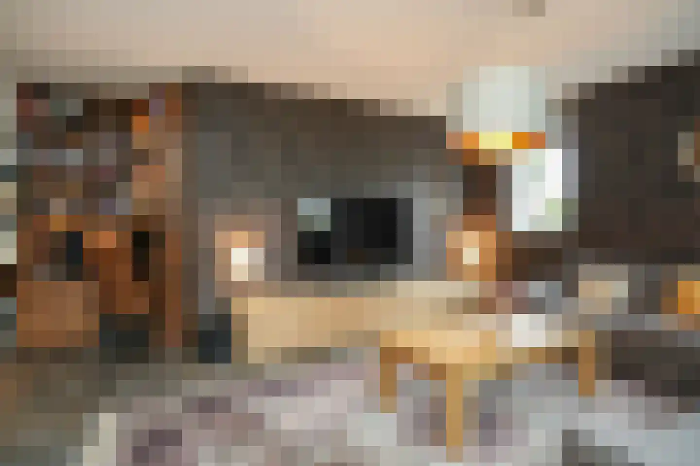 Josinahof 2 a Meteren thumbnail 9