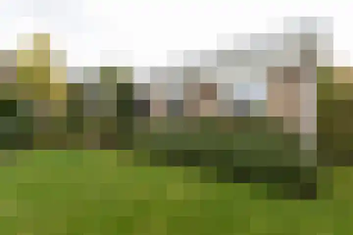 Josinalaan 1 Zuidhorn