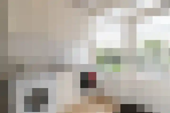 Josinalaan 1 Zuidhorn thumbnail 11