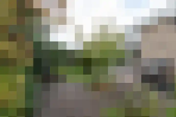Josinalaan 1 Zuidhorn thumbnail 14