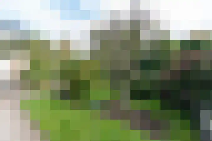 Josinalaan 1 Zuidhorn thumbnail 16