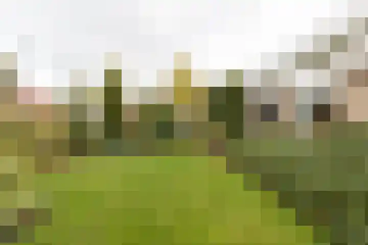 Josinalaan 1 Zuidhorn thumbnail 17