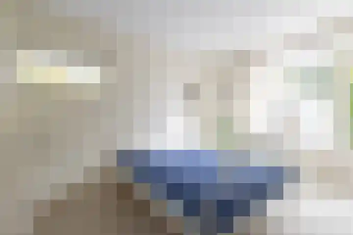 Josinalaan 1 Zuidhorn thumbnail 22