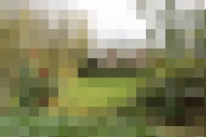 Josinalaan 1 Zuidhorn thumbnail 35