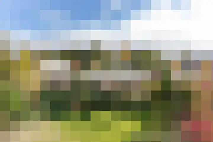 Josinalaan 1 Zuidhorn thumbnail 37