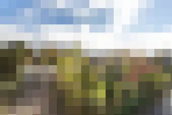 Josinalaan 1 Zuidhorn thumbnail 4