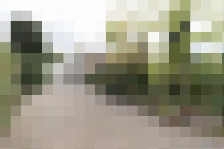 Josinalaan 1 Zuidhorn thumbnail 6