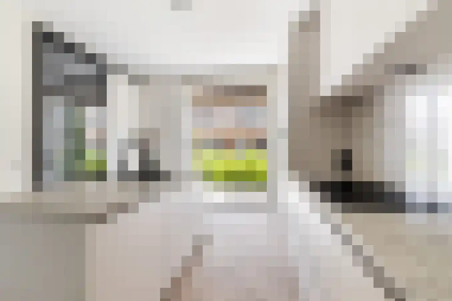 Josine de Bruyn Kopsweg 37 Gouda thumbnail 8