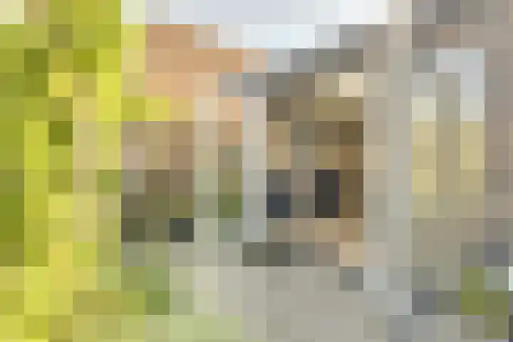 Josine Reulinglaan 1 Vlissingen thumbnail 100