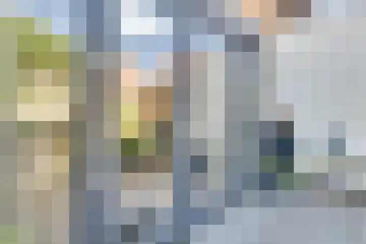 Josine Reulinglaan 1 Vlissingen thumbnail 101