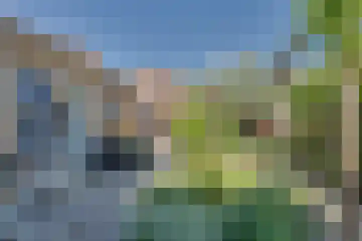 Josine Reulinglaan 1 Vlissingen thumbnail 102