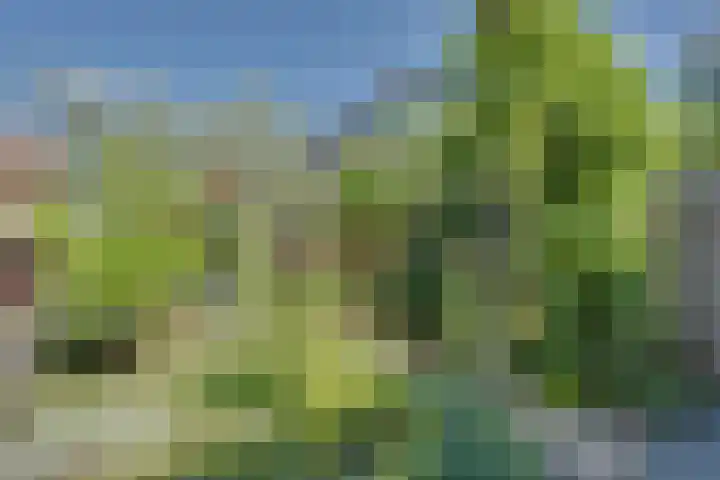 Josine Reulinglaan 1 Vlissingen thumbnail 103