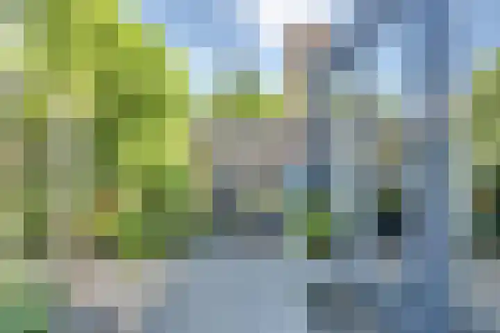 Josine Reulinglaan 1 Vlissingen thumbnail 104
