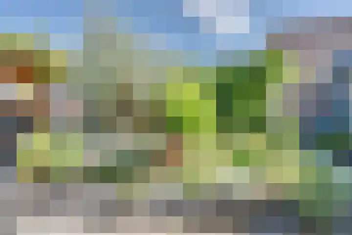 Josine Reulinglaan 1 Vlissingen thumbnail 105