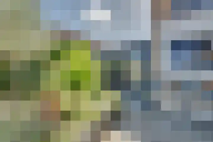Josine Reulinglaan 1 Vlissingen thumbnail 107