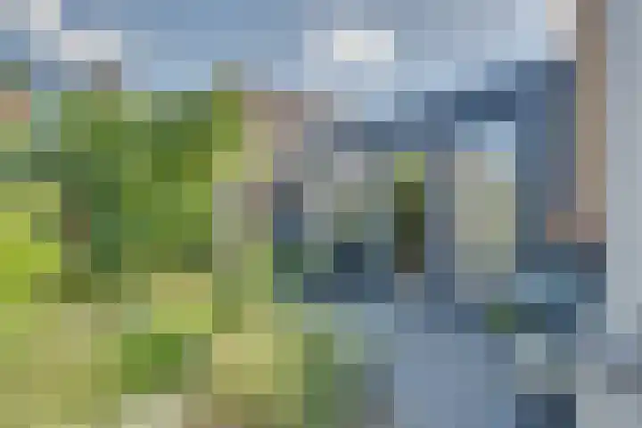 Josine Reulinglaan 1 Vlissingen thumbnail 108