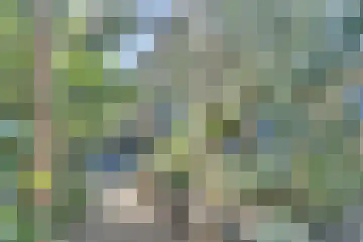Josine Reulinglaan 1 Vlissingen thumbnail 110