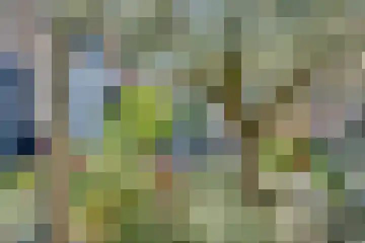 Josine Reulinglaan 1 Vlissingen thumbnail 111