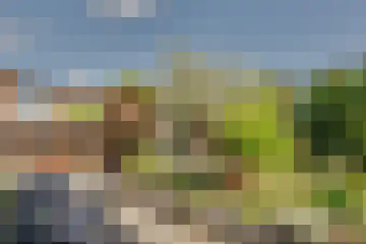 Josine Reulinglaan 1 Vlissingen thumbnail 114