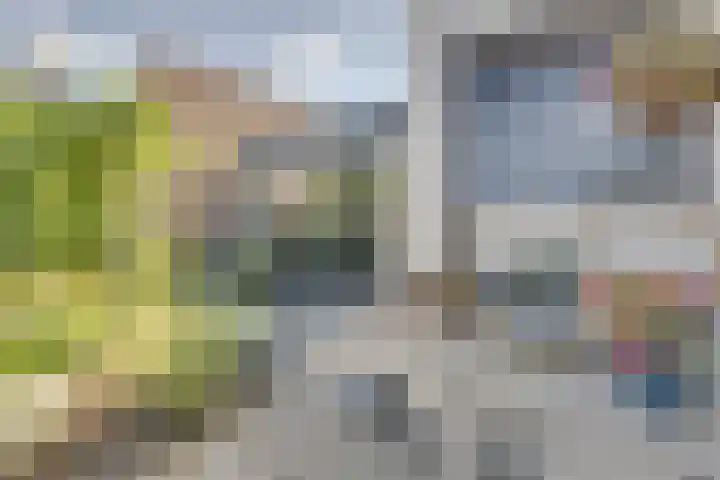 Josine Reulinglaan 1 Vlissingen thumbnail 115