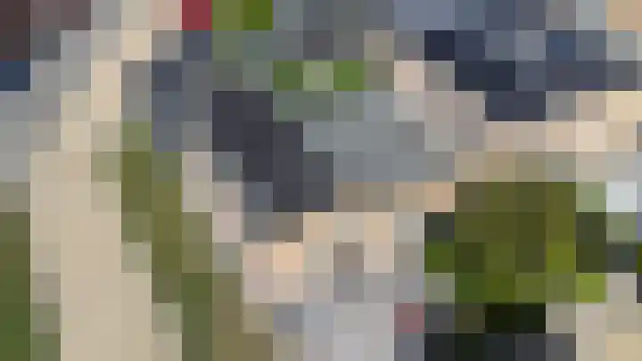 Josine Reulinglaan 1 Vlissingen thumbnail 119