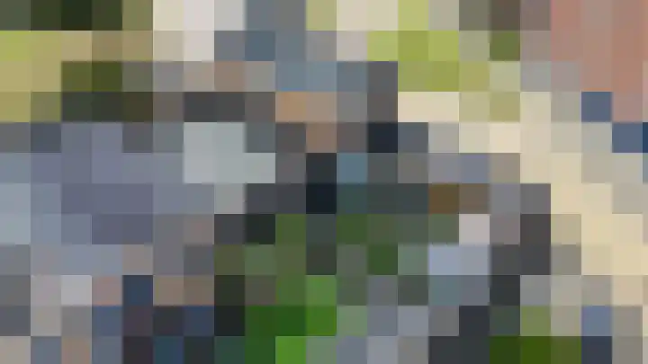 Josine Reulinglaan 1 Vlissingen thumbnail 121