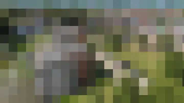 Josine Reulinglaan 1 Vlissingen thumbnail 127