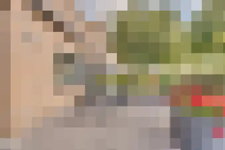 Josine Reulinglaan 1 Vlissingen thumbnail 14