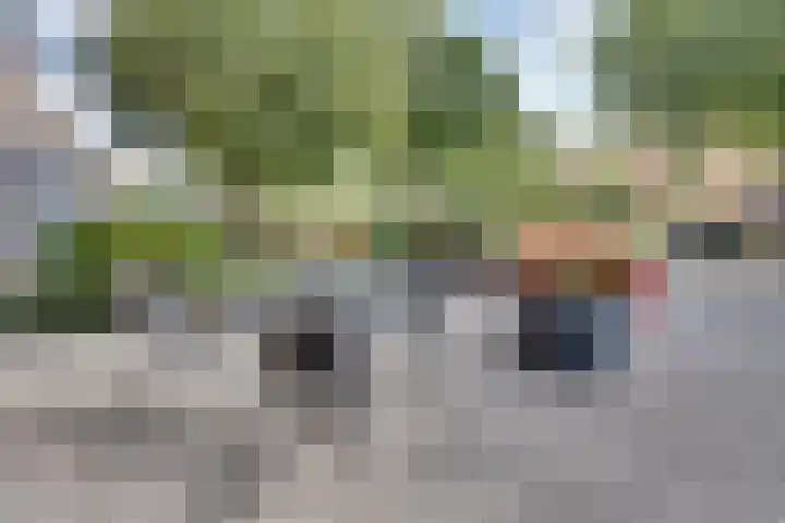 Josine Reulinglaan 1 Vlissingen thumbnail 15