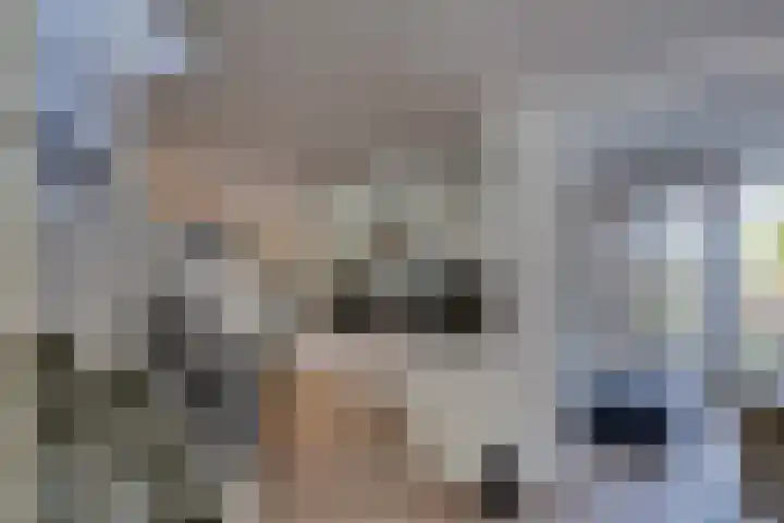 Josine Reulinglaan 1 Vlissingen thumbnail 32