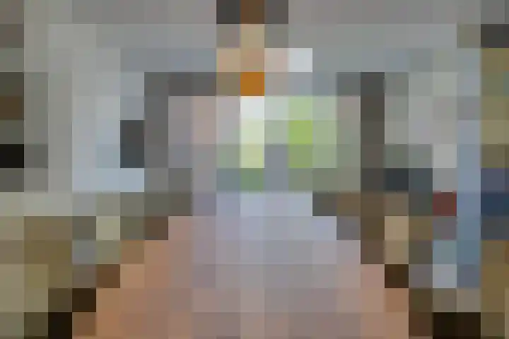 Josine Reulinglaan 1 Vlissingen thumbnail 43