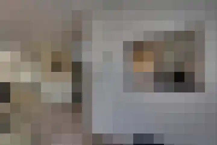 Josine Reulinglaan 1 Vlissingen thumbnail 44