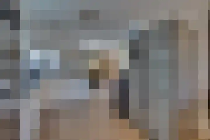 Josine Reulinglaan 1 Vlissingen thumbnail 48