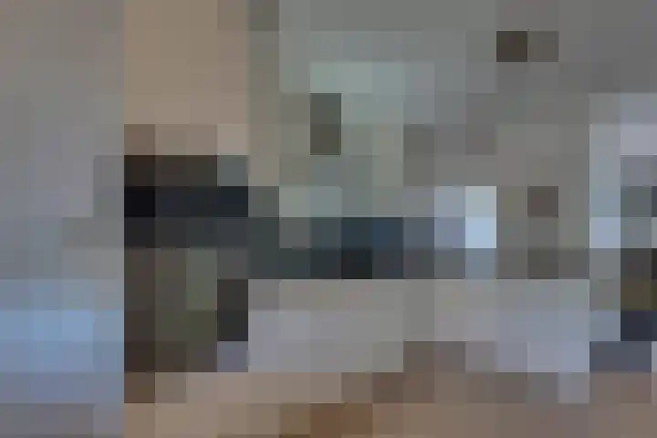 Josine Reulinglaan 1 Vlissingen thumbnail 49