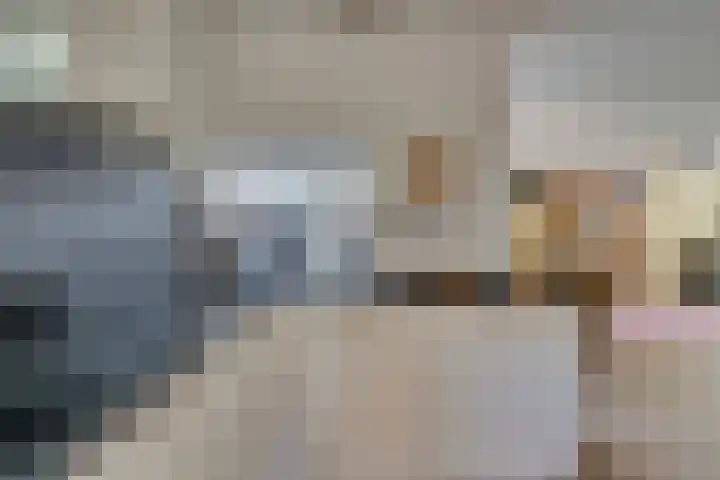 Josine Reulinglaan 1 Vlissingen thumbnail 57