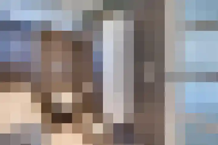 Josine Reulinglaan 1 Vlissingen thumbnail 63