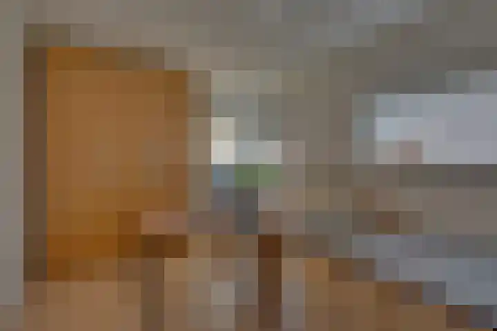 Josine Reulinglaan 1 Vlissingen thumbnail 73