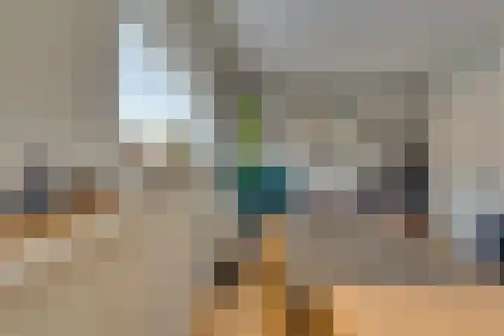 Josine Reulinglaan 1 Vlissingen thumbnail 76