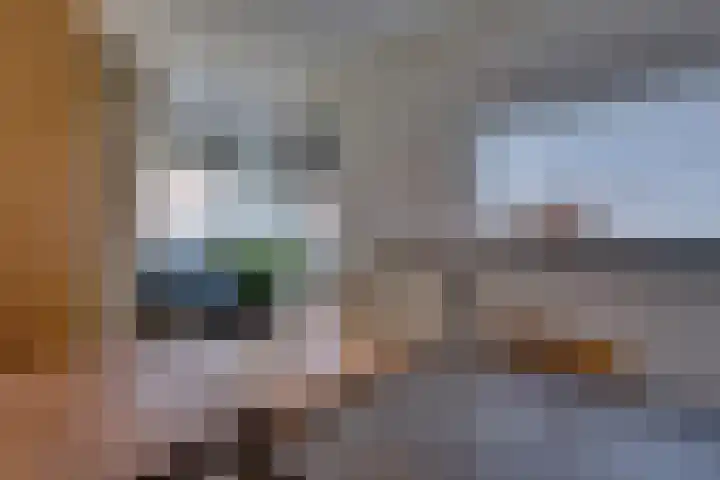 Josine Reulinglaan 1 Vlissingen thumbnail 77